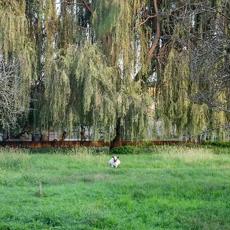 Agri Village Pavia 2*