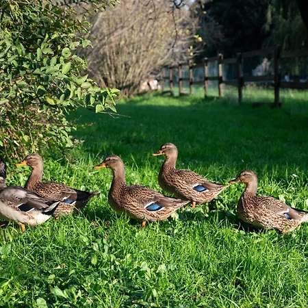 Holiday park Agri Village Pavia